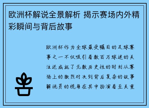 欧洲杯解说全景解析 揭示赛场内外精彩瞬间与背后故事